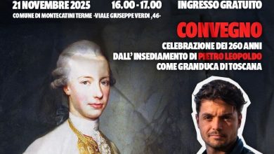 montec e1763392765615