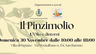 pinzi e1763657522370