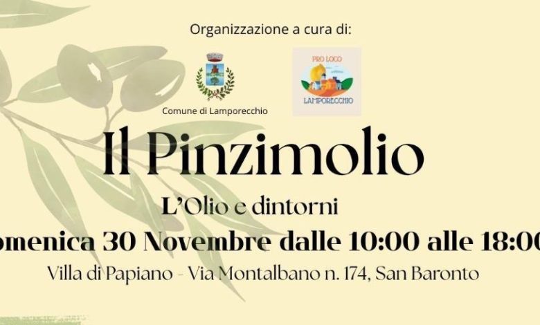 pinzi e1763657522370