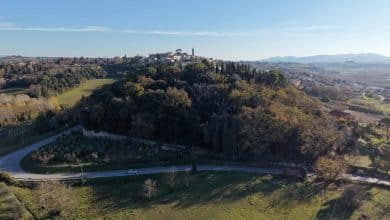 1 il bosco dei Frati Cappuccini e dietro il borgo di Peccioli