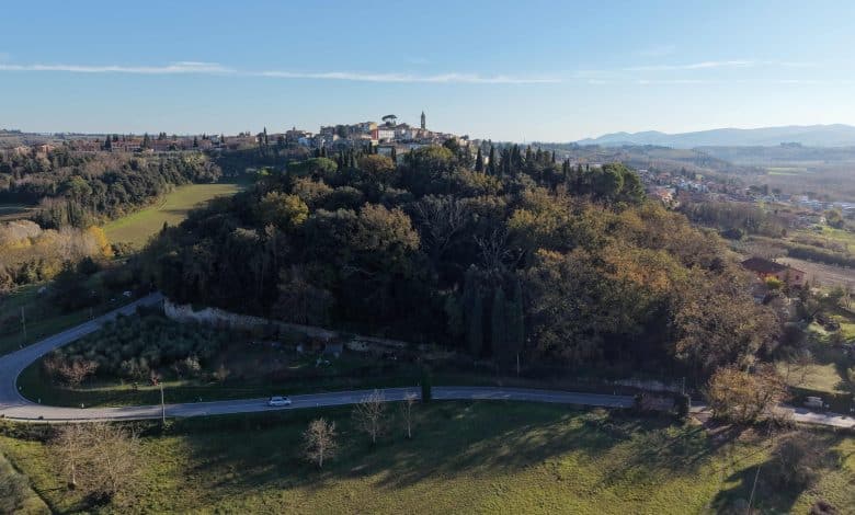 1 il bosco dei Frati Cappuccini e dietro il borgo di Peccioli