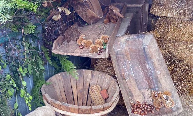 Musei ed Ecomusei del Casentino Sagra della polenta e del baldino dolce Faltona 1