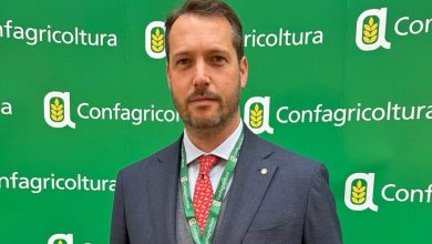 Delegazione di Arezzo alla manifestazione di Confagricoltura a Bruxelles 13 bartolini baldelli 07 e1765883274737