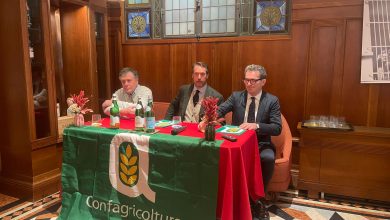 Giannozzi Bartolini Baldelli Cavicchioli