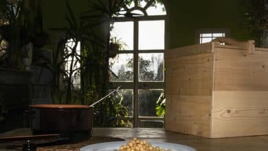 PH di A.M. Eustachi P DSC0194