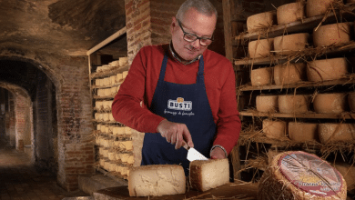formaggi Busti