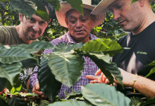 Leonardo Maggiori Francisco Villeda Sandro Bonacchi caffe di terroir