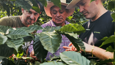 Leonardo Maggiori Francisco Villeda Sandro Bonacchi caffe di terroir