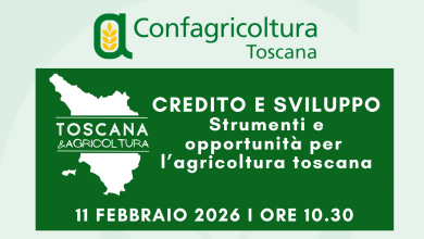 TOSCANA amp AGRICOLTURA e1770796787916