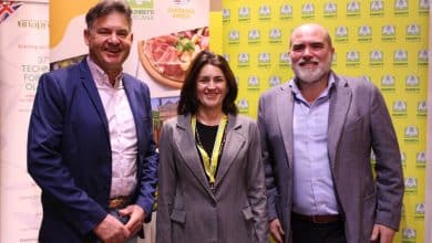 forchettiere gemelli