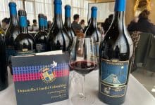 cenerentola cinelli colombini