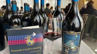 cenerentola cinelli colombini