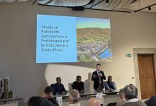 santa fiora e1773573021771