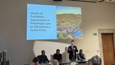 santa fiora e1773573021771