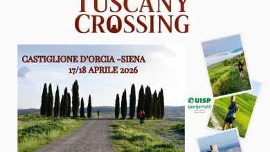 DEF LOC. TC 2026 scaled e1776328729897