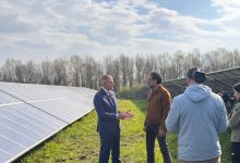 Estra Linea Verde registrazione