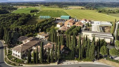 Fattoria di Rimaggio Panoramica azienda agricola 1