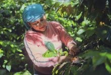 agricoltura donna contadina