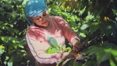 agricoltura donna contadina