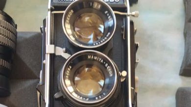 arezzo foto antiquaria e1776422795342