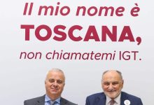 consorzio vino toscana cecchi e1776242594116