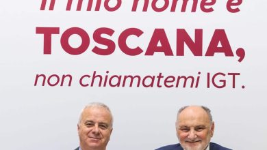 consorzio vino toscana cecchi e1776242594116