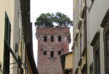lucca guinigi pix scaled e1776605489866