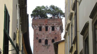 lucca guinigi pix scaled e1776605489866