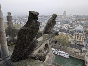 gargoiles notre dame