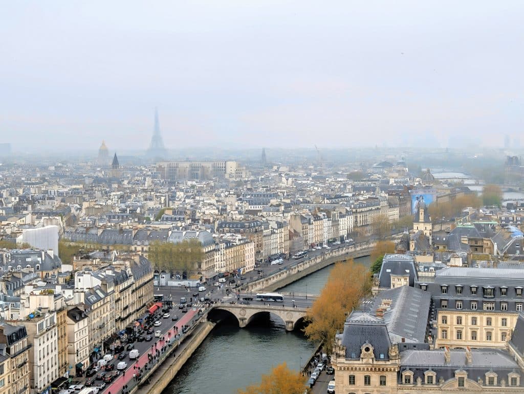 torri notre dame panorama parigi